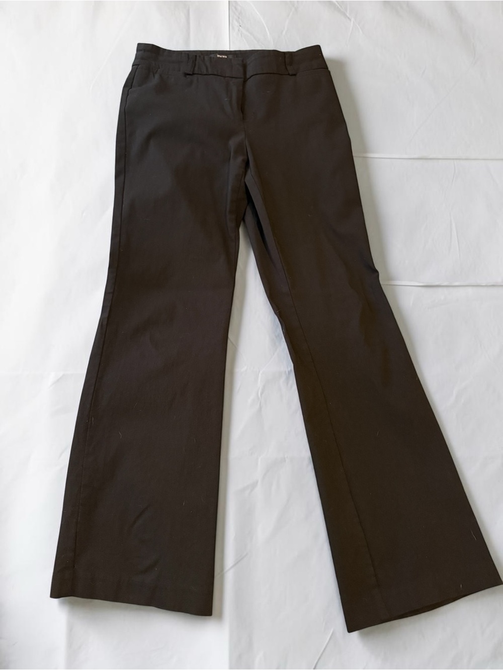 Style & Co. Women’sBlack Dress Pants - Black 6P